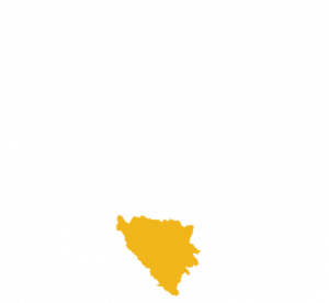 CMS-IANUBIH
